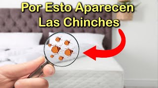 SIGNIFICADO EMOCIONAL por el que APARECEN las CHINCHES de CAMA en Tu HOGAR 🛏️ CASA ENFERMA y PLAGAS [upl. by Abisia]