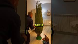 Un Albero di Natale🎄❄️ Che Trasforma le Lacrime in Gioia😭➡️😊shorts virale perte [upl. by Juanne]