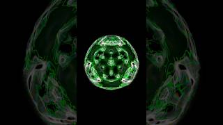 Using my birth year to generate Cymatics 1990Hz🔊🌀 cymatics art frequency [upl. by Yendor]