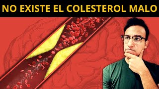 No existe el COLESTEROL MALO  ateroesclerosis y ApoB [upl. by Aikin]