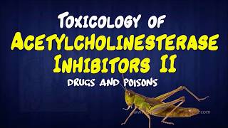 Toxicology of Acetylcholinesterase Inhibitors II  Drugs and Poisons [upl. by Nivi]