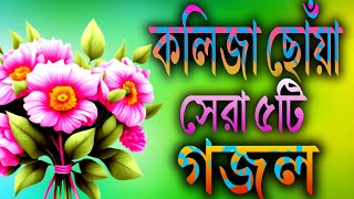 কলিজা ছোঁয়া সেরা ৫টি ইছলামিক গজল  Islamic top 5 Gojal  Nahidghazal Gojal Ghazal Gojol gozol [upl. by Blasius]