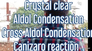 Aldol Condensation  Cross Aldol Condensation amp Canizaro reaction Class 12th Chemistry chapter  8 [upl. by Akenihs274]