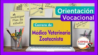 ¿Quieres estudiar Médico Veterinario Zootecnista Entrevista con experto Orientación Vocacional🔥🔥🚀 [upl. by Ynelram]