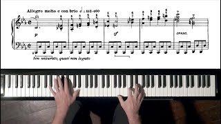 Beethoven Pathétique Sonata TUTORIAL 1st Movement  P Barton FEURICH piano [upl. by Fawn571]