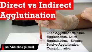 Direct vs Indirect Agglutination [upl. by Amelia640]