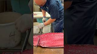 So Sharp Japanese Katana Tuna Cutting food seafood tuna japan [upl. by Florance]