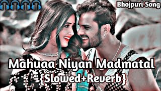 Bewafa 😭gana Lofi 📸Mahuaa Niyan 🔥Madmatal  Khesari Lal Yadav  महुआ नियन मदमातल ❤ Bhojpuri [upl. by Troy]