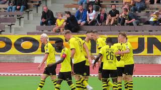 Steffen Tigges Goal  BVB 09 II 2  0 Fortuna Düsseldorf II  01092019  Stadion Rote Erde [upl. by Enidan]