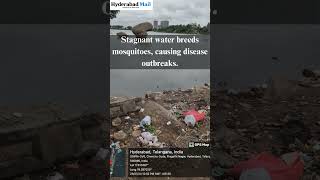 Ambar Cheruvu The Deterioration of Pragathi Nagar Lake in NizampetHyderabad Mail [upl. by Jew]