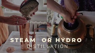 Steam distillation or hydro distillation  Types of distillation [upl. by Ycniuqal342]