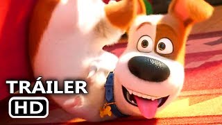 LA VIDA SECRETA DE TUS MASCOTAS 2 Tráiler Español 2019 [upl. by Verbenia]