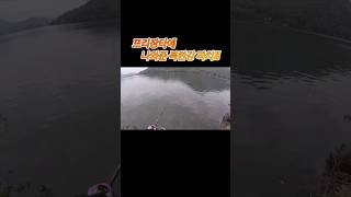 프리장타에 나와준 북한강 배스 fishing bassfishing angler 낚시 배스낚시 곰탱김뱅 [upl. by Kellyann613]