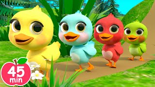 5 Little Ducks song  Newborn Baby Songs amp Nursery Rhymes [upl. by Liebowitz]