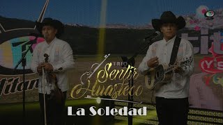 Trío Sentir Huasteco  La Soledad Video Oficial [upl. by Bloom]