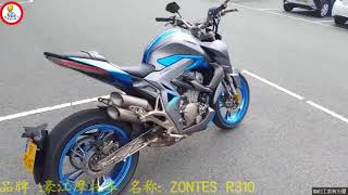 Motor China Zontes R310 Top Speed [upl. by Ennovihc34]