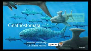 Lecture 7 Gnathostomata Jan 30 [upl. by Aylsworth]