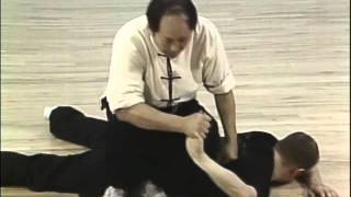 Tai Chi Тай чи Ч26 Da Mang Zhuan Shen рычаг пальцев выверт руки [upl. by Hanad]