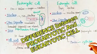 Difference between Prokaryotic and Eukaryotic cell  chap4  lec17 9th biology [upl. by Fusuy]