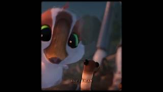 Your Local Goose Expert  Edit  shorts edit trending [upl. by Eziechiele]