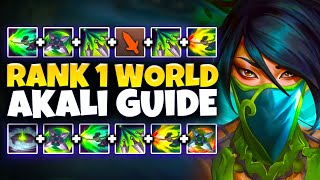 THE ULTIMATE SEASON 14 AKALI GUIDE  COMBOS RUNES BUILDS ALL MATCHUPS  League of Legends [upl. by Nadia611]