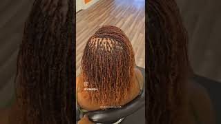 Micro loc extensions with braids aka braid locs the on low to medium density hair [upl. by Oiramat]