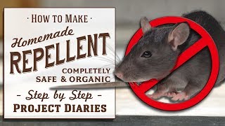 ★ How to Make Homemade Repellent Spray Good for Rats Mice Squirrels Bugs Cats Deer amp Insects [upl. by Cherin863]