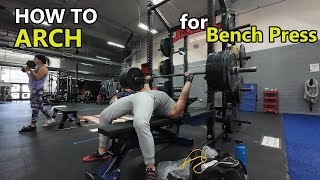 BENCH PRESS ARCH GUIDE  How To Properly Arch On The Barbell Bench Press  Beginners Basics [upl. by Annoik]