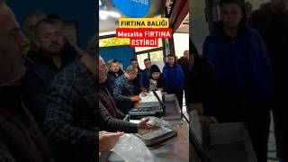 FIRTINA BALIĞI MEZATTA FIRTINA ESTİRDİ levrek çipura fırtınabalığı ıskatarya balıkmezatı [upl. by Titania]