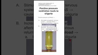 Positive pressure ventilation leads to oliguria [upl. by Neerac416]