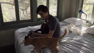 Iams Cat Food Commercial Keep Love Strong  Groupie short version [upl. by Enomahs]