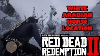 Cara Mendapatkan White Arabian Horse Kuda Tercepat  Red Dead Redemption 2 LOCATION [upl. by Demahum]