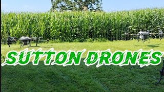 DJI T40 drones spraying fungicide on corn [upl. by Eurydice]