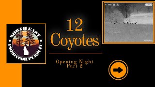 Thermal Coyote Hunting  2024 Season  Opening Night Part 2  North East Predator Pursuit [upl. by Apostles880]