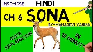 SONA by Mahadevi verma QUICK EXPLANATION  HINDI STD 12  by STORIES amp more [upl. by Scever360]