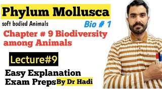 Phylum Mollusca Full Explanation for MDCAT and F Sc Students in Urdu Hindi BY Dr Hadi [upl. by Torrin405]