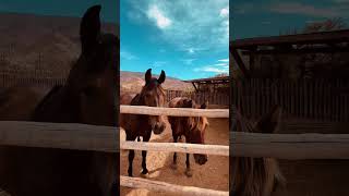 Sergio Leone far west tabernas Desert sergioleone farwest tabernasdesert [upl. by Yanrahs655]