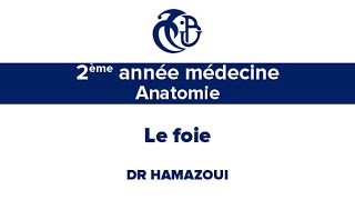 2ème année médecine Anatomie Le foie [upl. by Acirehs]