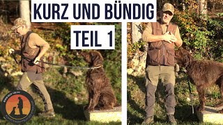 „Timing“ von Lob und Tadel  Hundeschule UB [upl. by Phelan183]