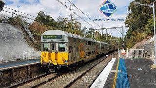 Transport for NSW Vlog No1106 Jannali part 2 [upl. by Davey]