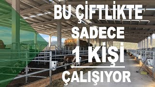 Bu Çiftlikte Sadece 1 Kişi Çalışıyor [upl. by Strage632]