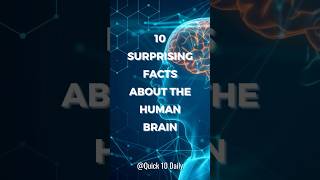 🧠 10 Surprising Facts About the Human Brain 🤯 Quick10Daily humanbrainfacts mindblowingfacts [upl. by Lenad200]