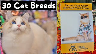 Meet Every Cat Breed at the Largest Cat Show in the World CFA International 2023  The Cat Butler [upl. by Ovid662]