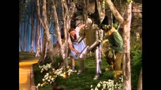 Best of Rifftrax—The Wizard of Oz Five Minute Version [upl. by Saticilef510]