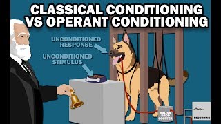 CLASSICAL VS OPERANT CONDITIONING [upl. by Annairt918]