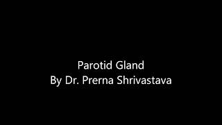 Parotid gland By Dr Prerna Shrivastava at drlectures parotid gland anatomy drlecture [upl. by Haskins172]