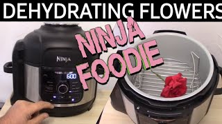 How to Dehydrate Flowers in the Ninja Foodi 9 in 1 [upl. by Campagna]