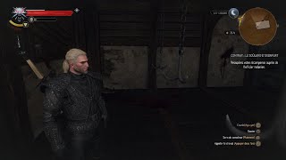 The Witcher 3 Wild Hunt vampire [upl. by Ashlie415]