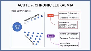 Acute vs Chronic Leukaemia Explained [upl. by Eleirbag]