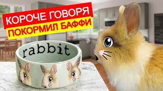 УТРО КРОЛИКА БАФФИ КОТ МАЛЫШ И КОШЕЧКА МУРКА смеялись короче говоря покормил Баффи [upl. by Yuma676]